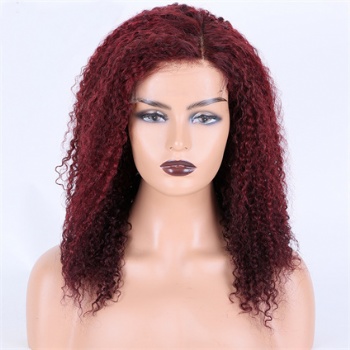 99J Remy Hair , 5x5 HD Lace Closure Wig