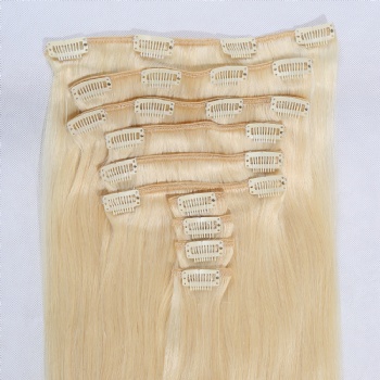 Customized Bleach Blonde Clip in Hair Extension