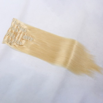 Customized Bleach Blonde Clip in Hair Extension