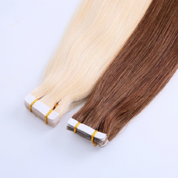 Blonde Brown Tape in Hair Extension