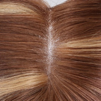 18in Brown Highlight Blonde, 5x5 Monofilament Top Wig