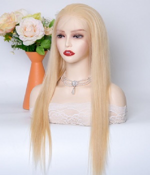 22in Blonde Glueless Full Lace Wig