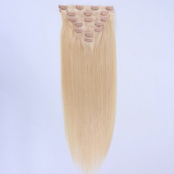 Pre Bleach Blonde Seamless Clip in Hair Extension 120g